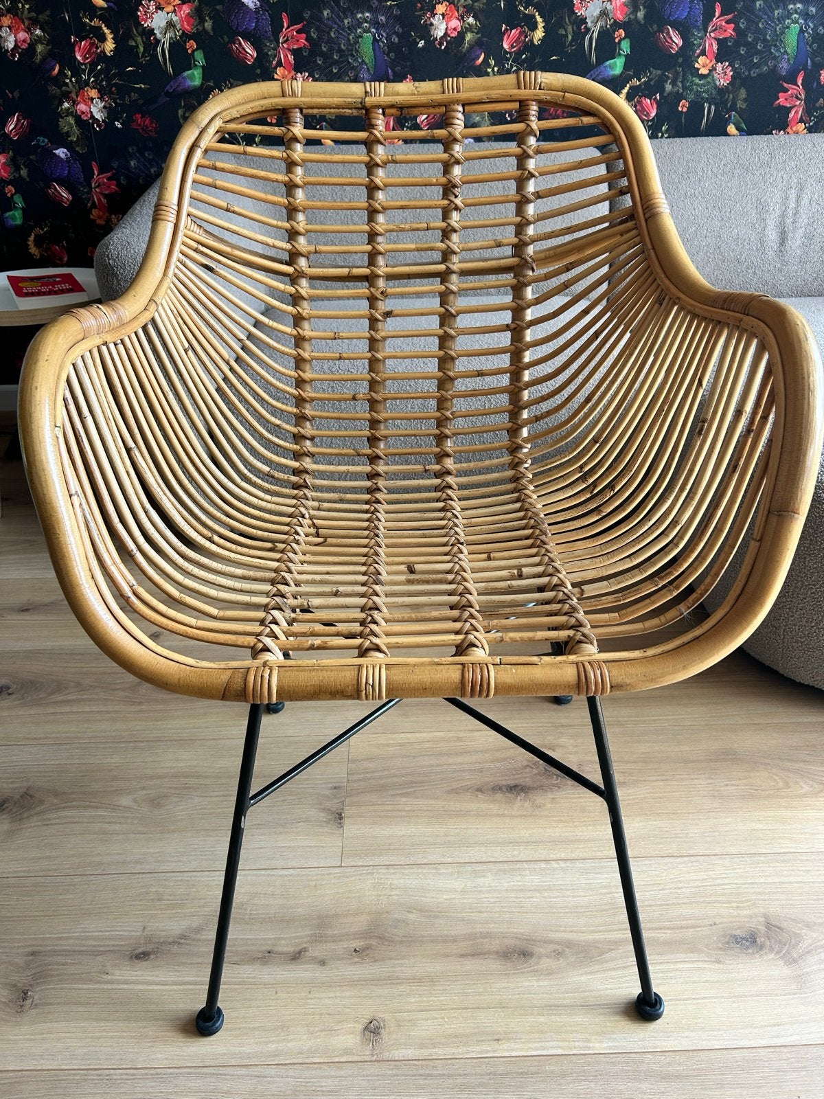 2 Rotan stoelen Julan van Leen Bakker, Huis en Inrichting, Ophalen, Twee, Overige kleuren, Zo goed als nieuw