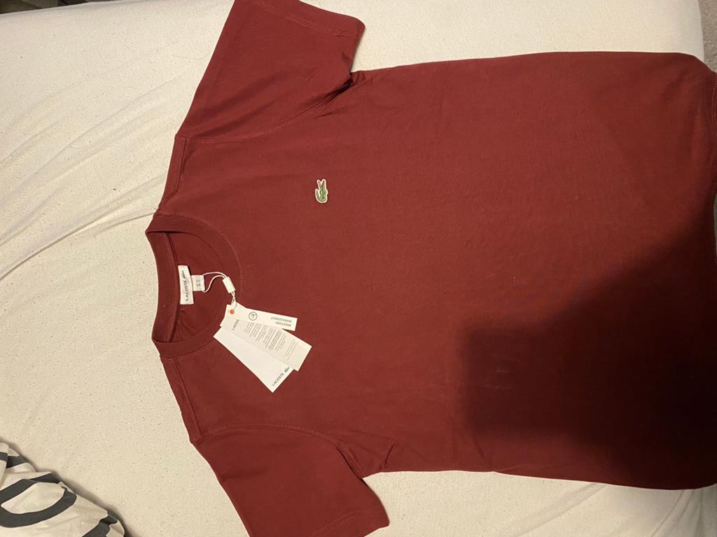 Lacoste t shirt S Nieuw, Ophalen of Verzenden, Nieuw, Rood