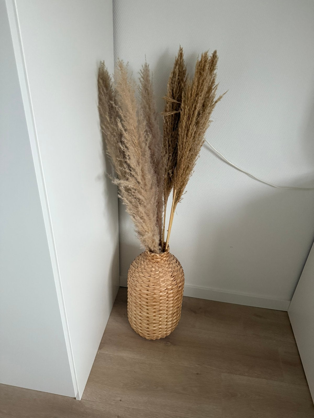 Rotan vaas met pampaspluimen, Ophalen of Verzenden, Zo goed als nieuw