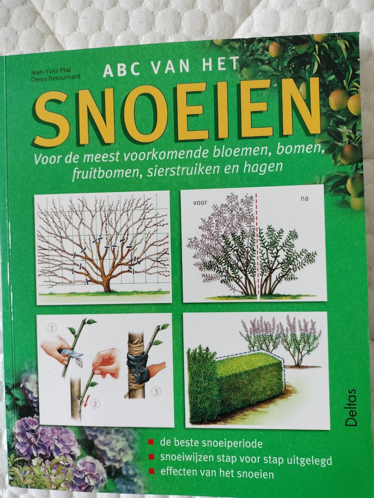 ABC van het Snoeien: Bomen, Struiken, Planten - Nieuw Boek, Ophalen of Verzenden, Nieuw, Tuinieren en Tuinplanten