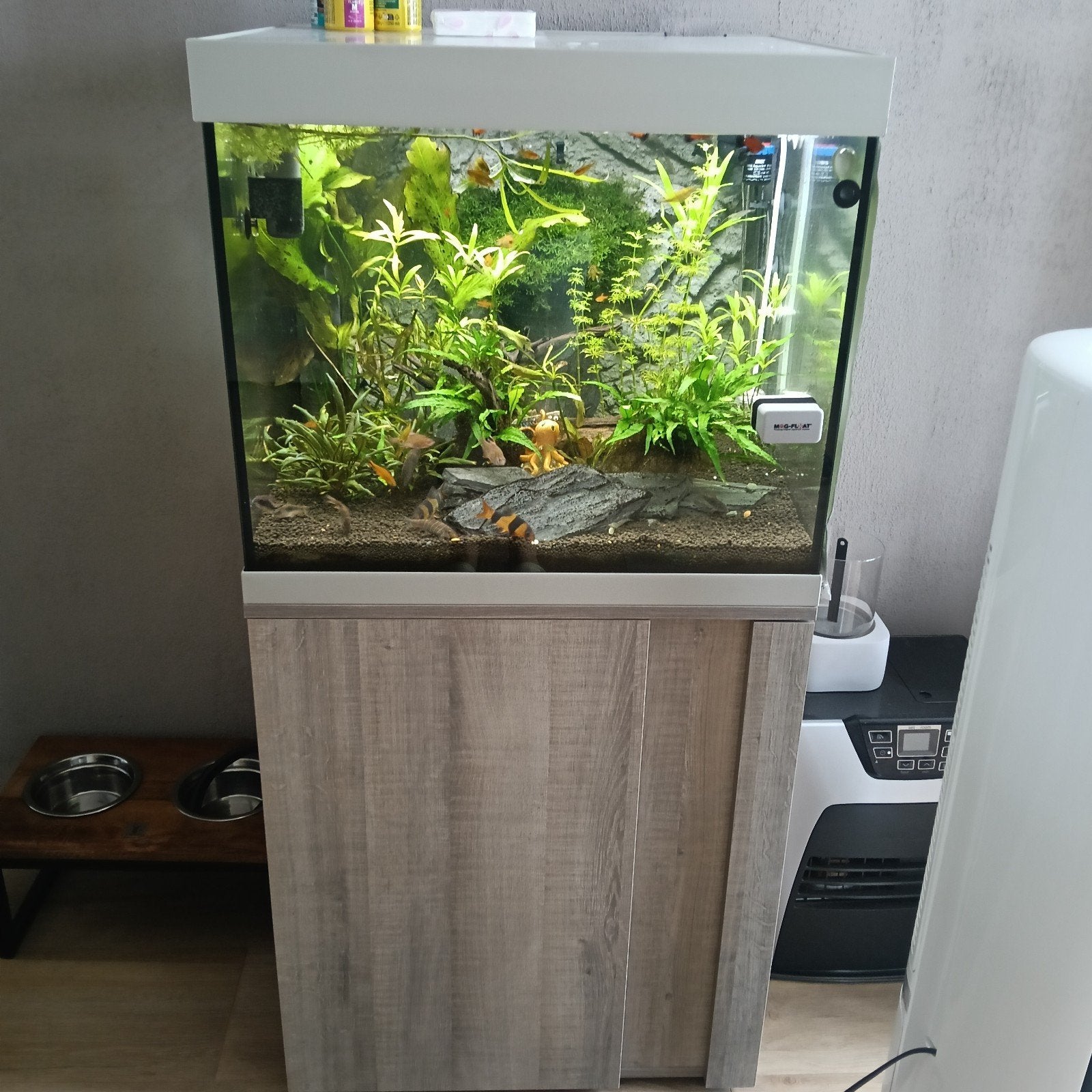 Aquarium Eheim 150 liter, Ophalen, Aquariummeubel, Inclusief vissen, Zo goed als nieuw