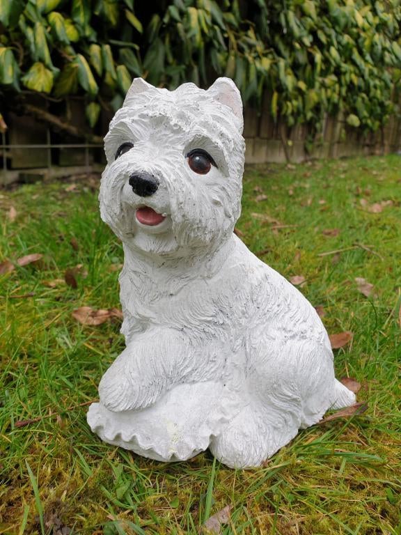 boemer hondje , beton, Ophalen of Verzenden, Nieuw, Dier