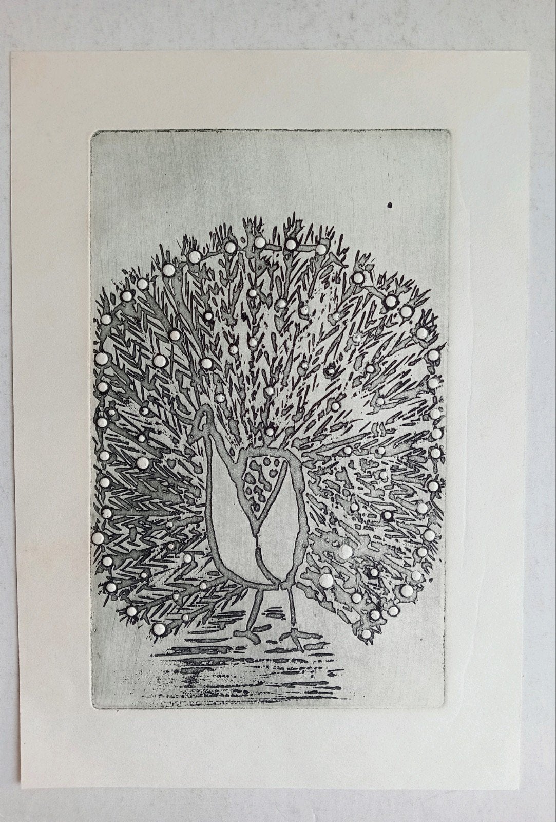 Pauw Ets reliëf druk, Ophalen of Verzenden