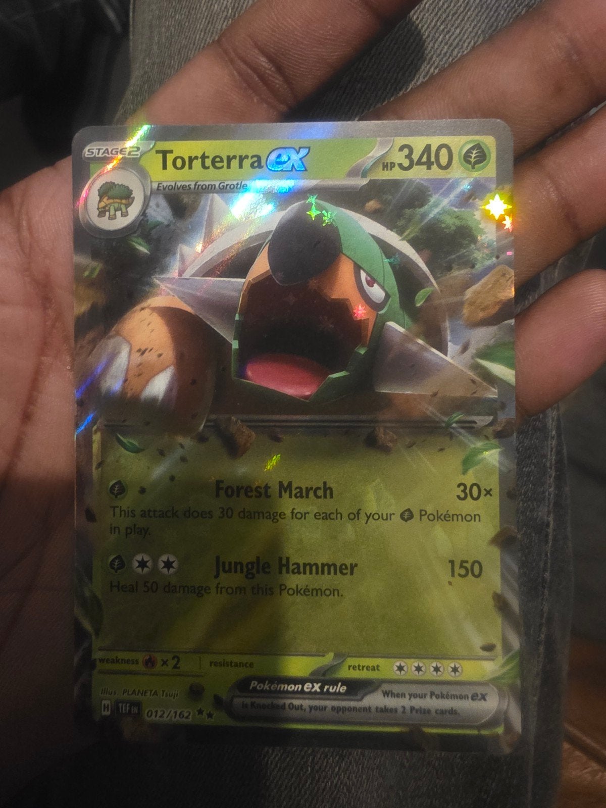 Pokemon Torterra EX Kaart - Zeldzaam en Foil, Ophalen of Verzenden