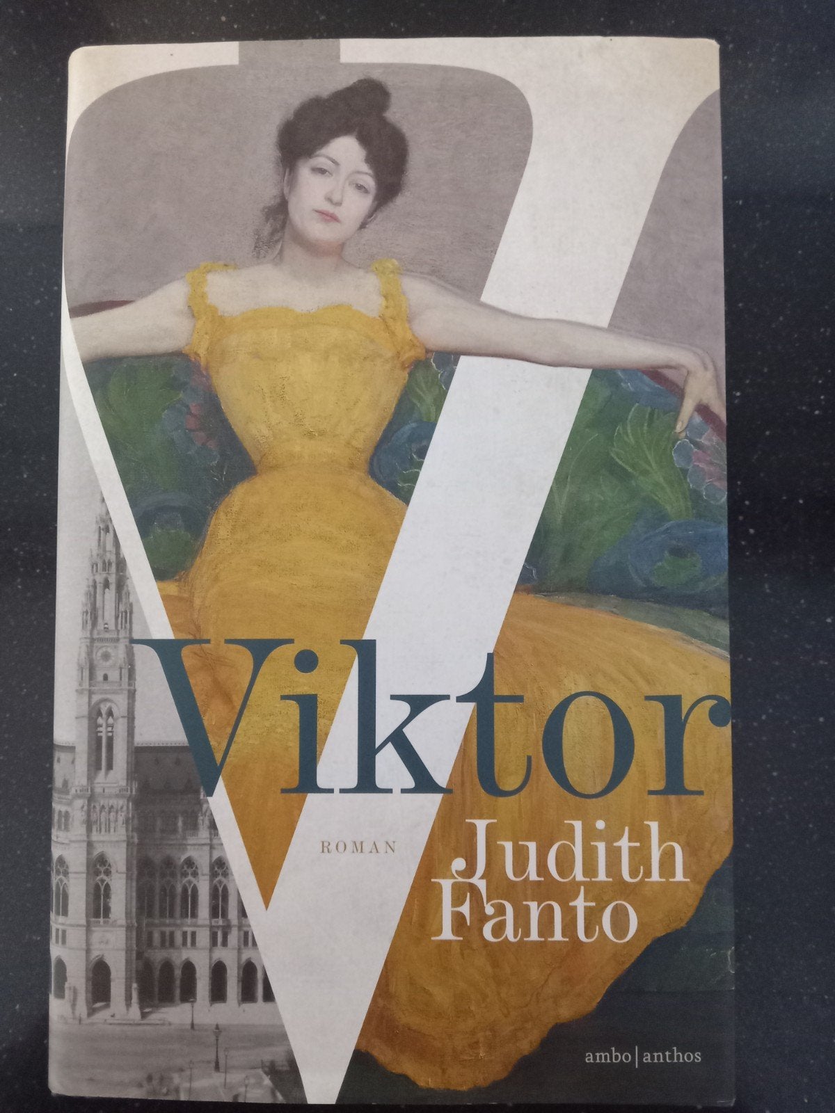 Judith Fanto - Viktor, Boeken, Judith Fanto, Ophalen of Verzenden, Zo goed als nieuw, Nederland