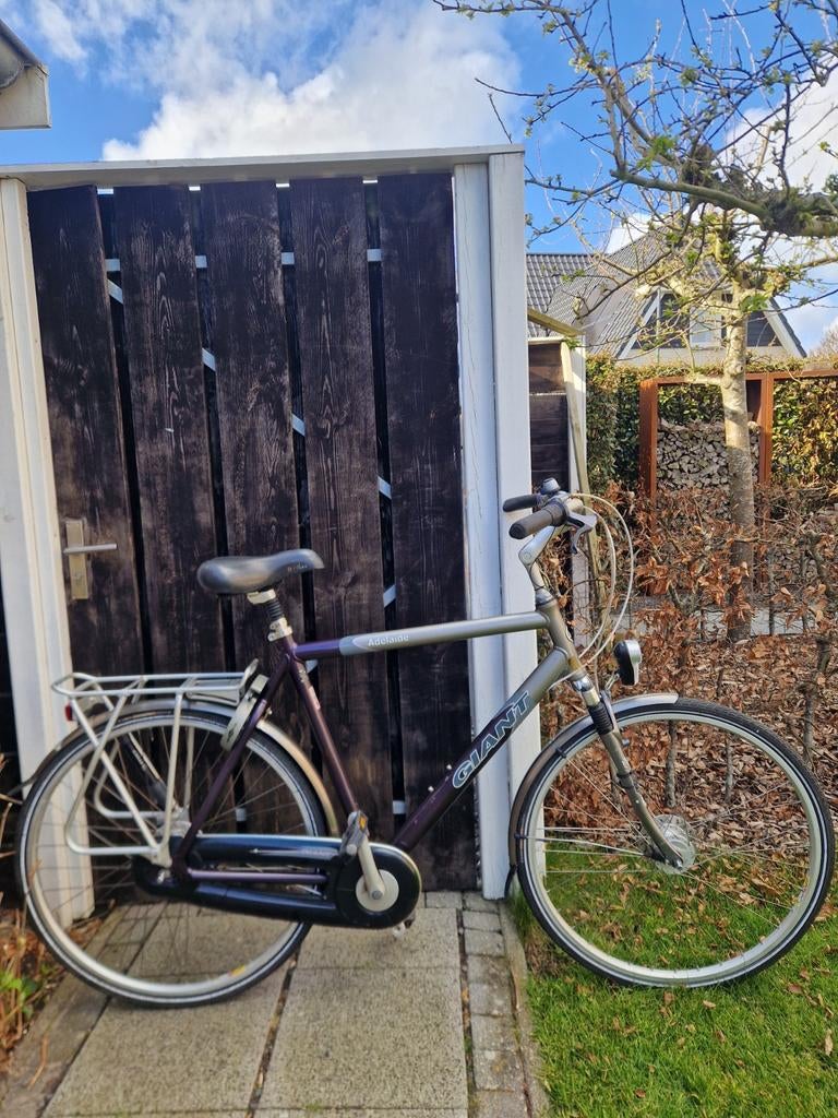 Giant adelaide herenfiets - 28 inch, Fietsen en Brommers, Fietsen | Heren | Herenfietsen, Gebruikt, Giant, 57 tot 61 cm, Versnellingen