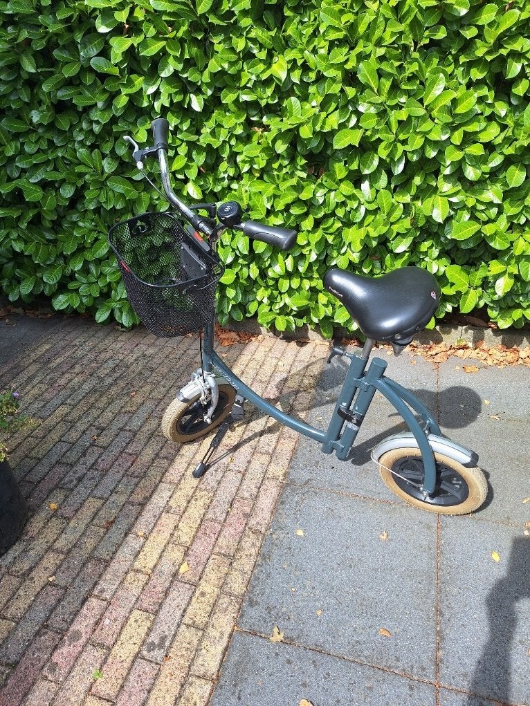 Loopfiets   Van Raam, Ophalen, Zo goed als nieuw, Van Raam