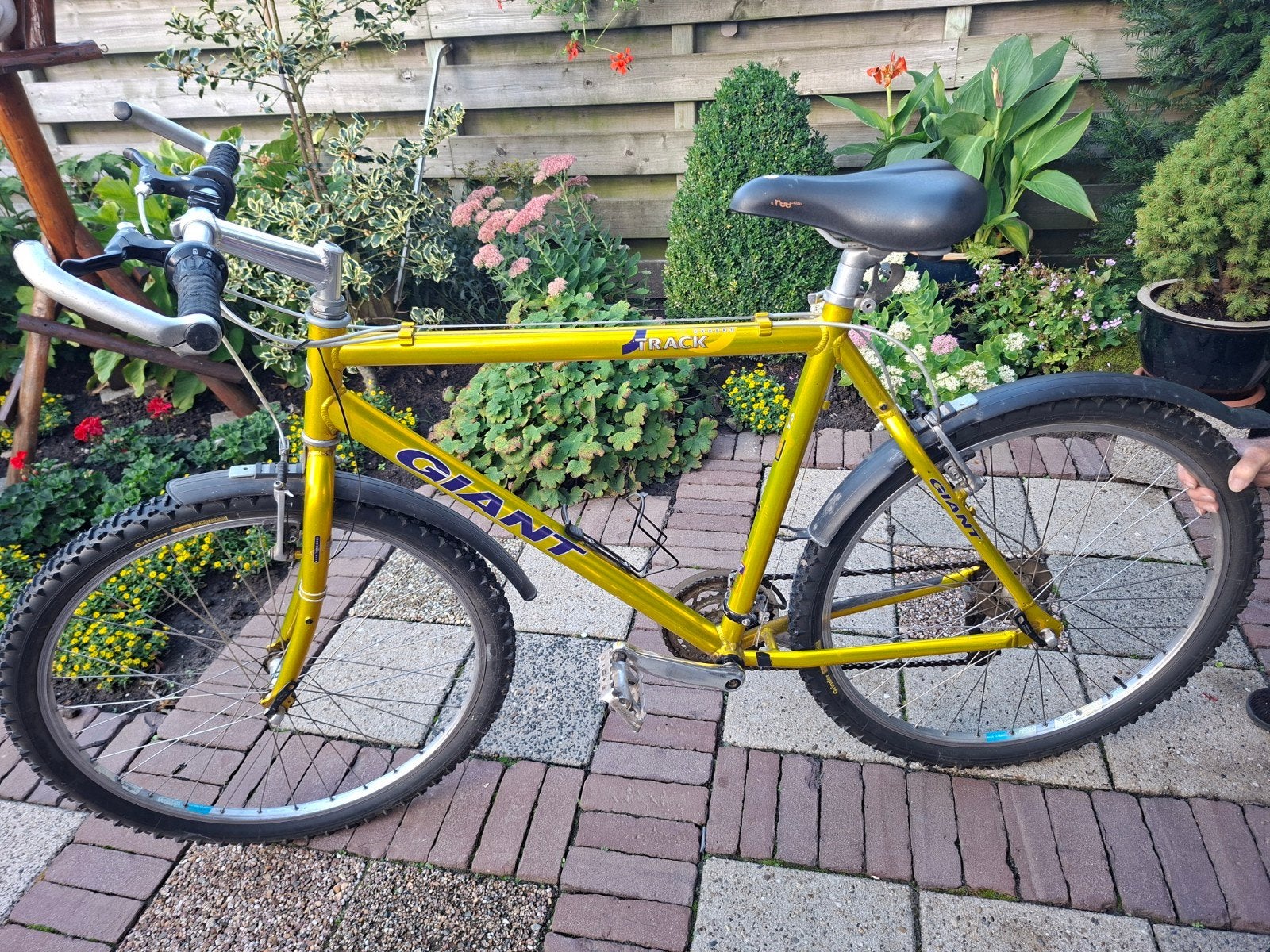 Mountainbike. GIANT-TRACK., Ophalen, Gebruikt, 26 inch, Velgrem