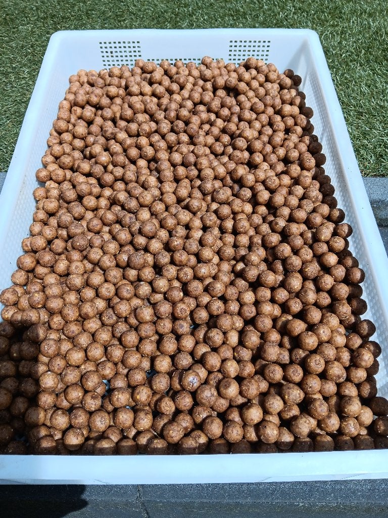 tijgernoot caramel premium boilie s, Ophalen of Verzenden, Nieuw, Overige typen