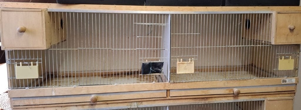 Vogel kweekkooien deelbaar, Ophalen, Gebruikt, Hout, Broedkooi of Kweekkooi