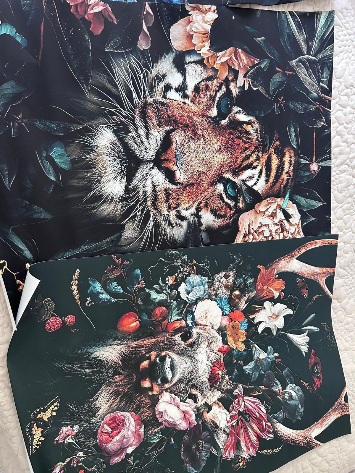 Drie stoffen posters 60 x 90 cm, Verzamelen, Posters, Ophalen, A1 t/m A3, Dier of Natuur, Rechthoekig Staand