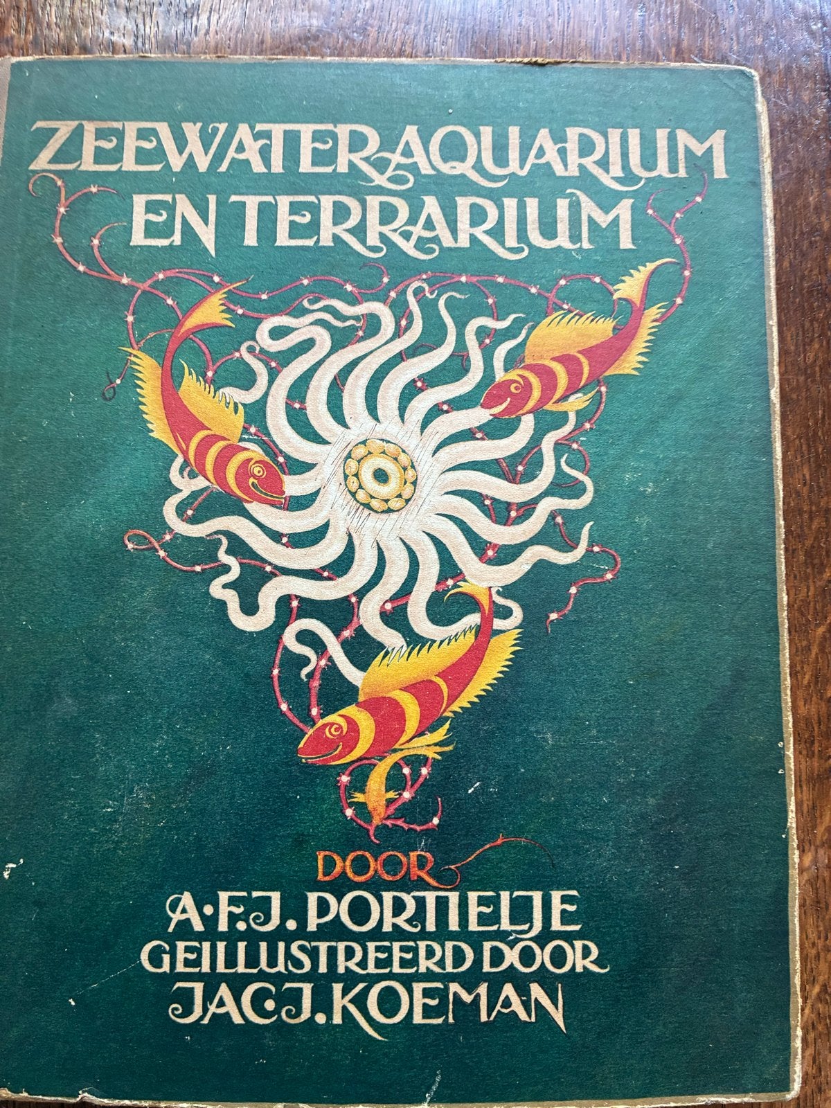 Zeldzaam Verkade Album Zeewater-Aquarium en Terrarium 1930, Ophalen of Verzenden, Gelezen, Natuur algemeen