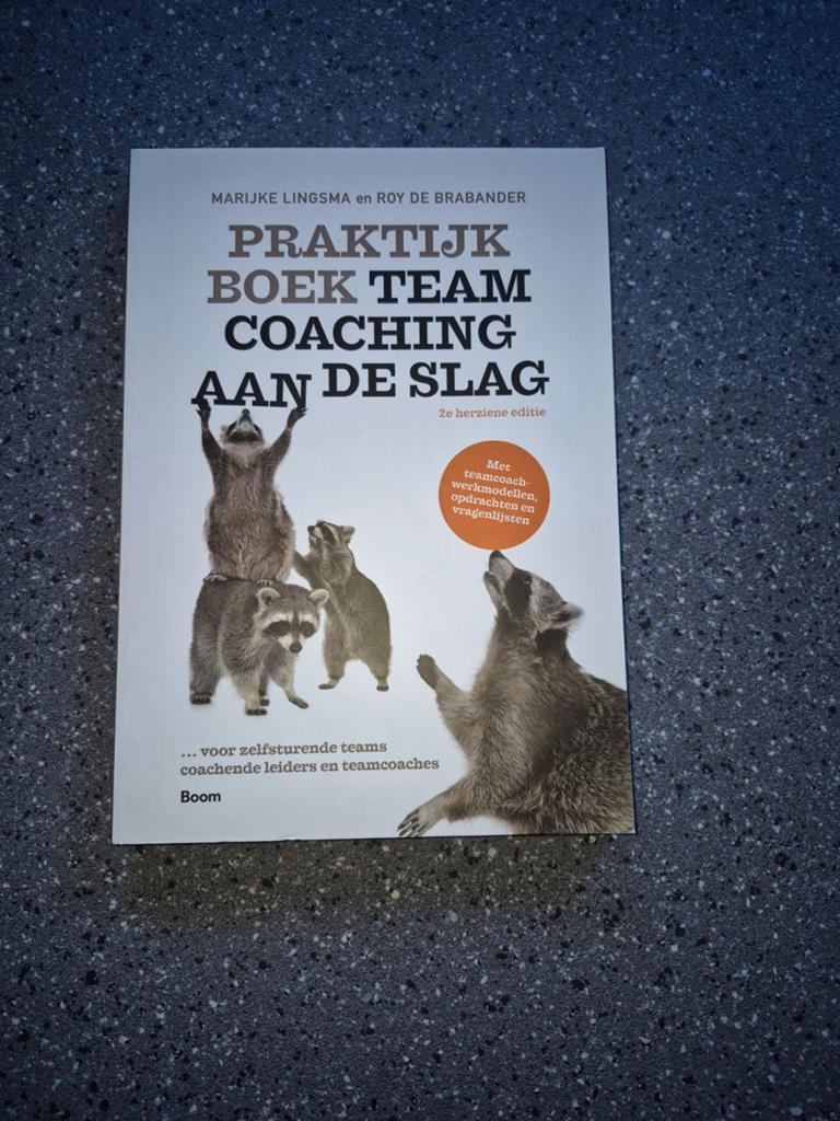 Marijke Lingsma - Praktijkboek Teamcoaching, aan de slag, Ophalen of Verzenden, Zo goed als nieuw, Marijke Lingsma; Roy de Brabander