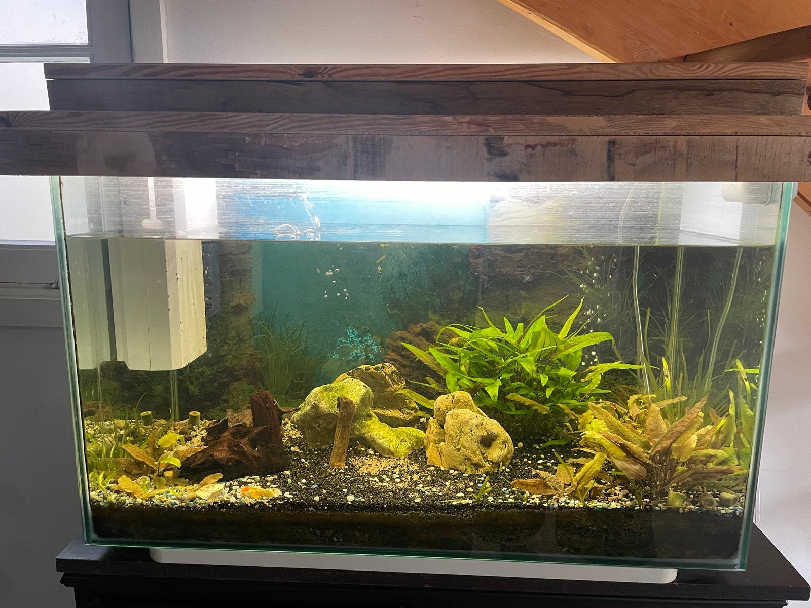 Aquarium met alles erop en eraan, Dieren en Toebehoren, Vissen | Aquaria en Toebehoren, Ophalen, Gebruikt, Gevuld zoetwateraquarium