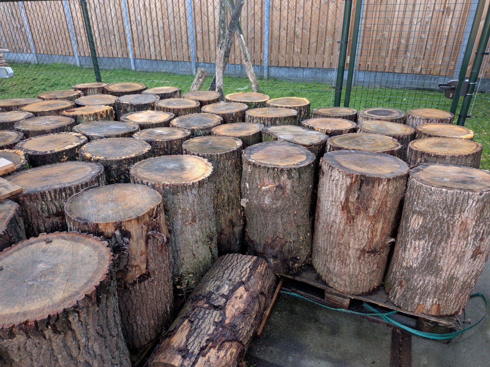 Eiken Stookhout, 6 m³ of meer, Ophalen, Eikenhout, Blokken