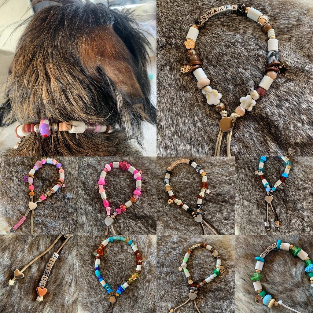 Hippe, stoere en functionele tekenkettingen voor honden, Dieren en Toebehoren, Ophalen of Verzenden, Handgemaakt, Nieuw