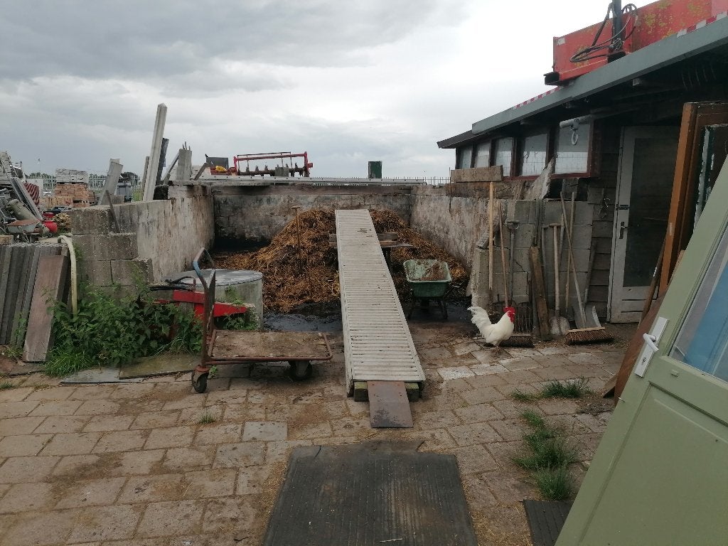 verse rundermest voor moestuin volkstuin, Tuin en Terras, Aarde en Mest, Ophalen of Verzenden, Tuinaarde