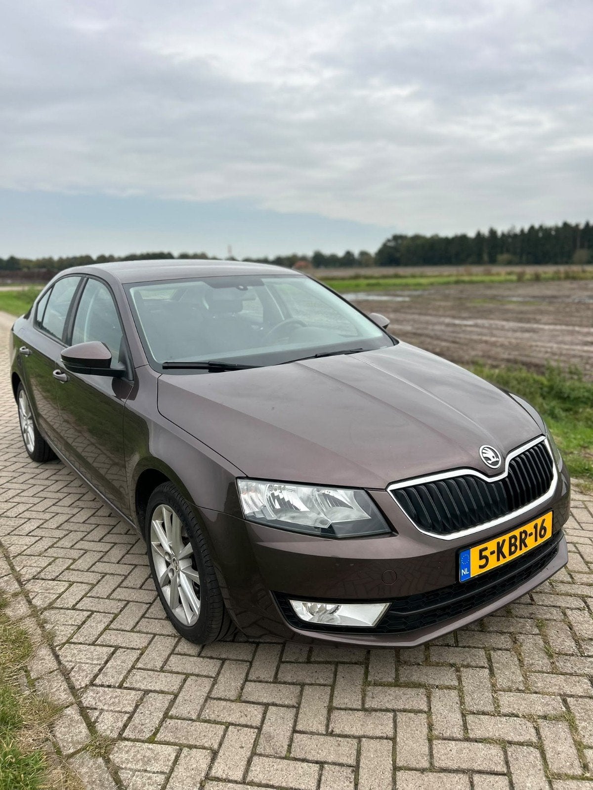 Skoda Octavia 1.2 TSI 77KW 2013 Bruin ,alleen tel contact., Voorwielaandrijving, 4 cilinders, 610 kg, 49 €/maand