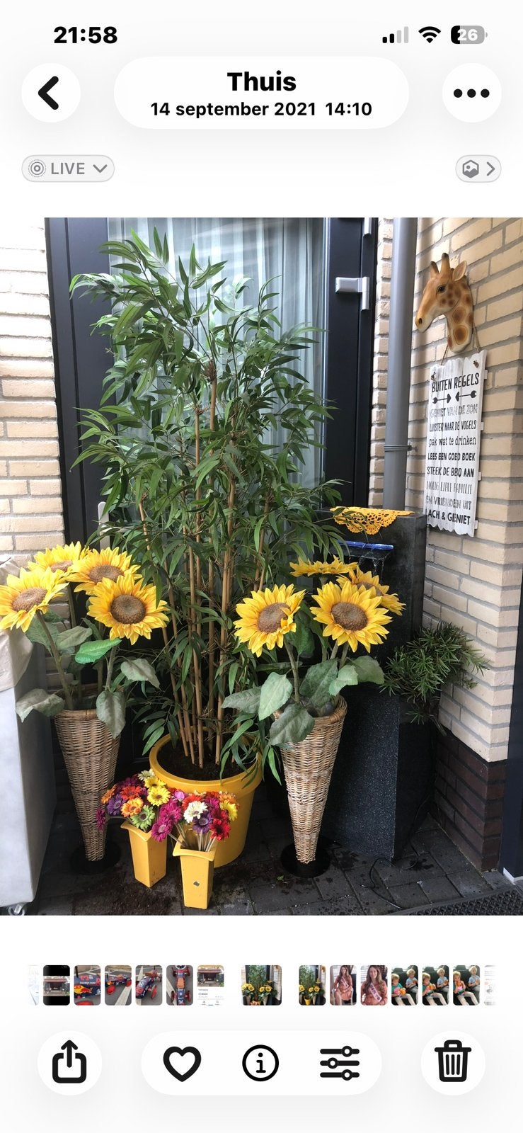 Rieten vazen met grote zonnebloemen, Ophalen of Verzenden
