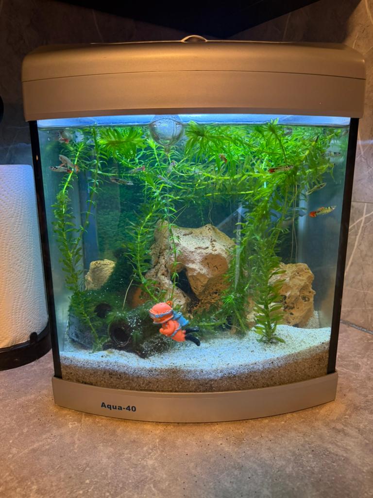 Aqua 40 aquarium superfish, Ophalen of Verzenden, Zo goed als nieuw, Leeg aquarium