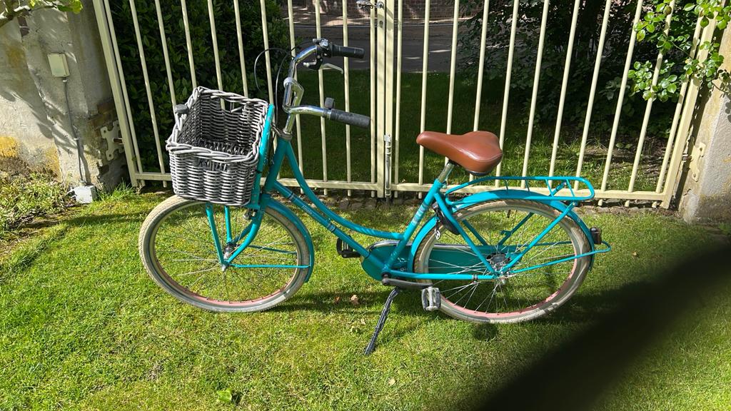 Meisjesfiets tingle alpina, Ophalen, Terugtraprem, 22 inch, Handrem