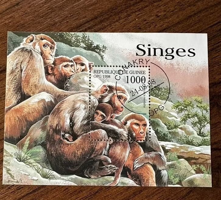 Guinee 1998 - Gestempeld met apen - dieren, Ophalen of Verzenden, Guinee, Gestempeld