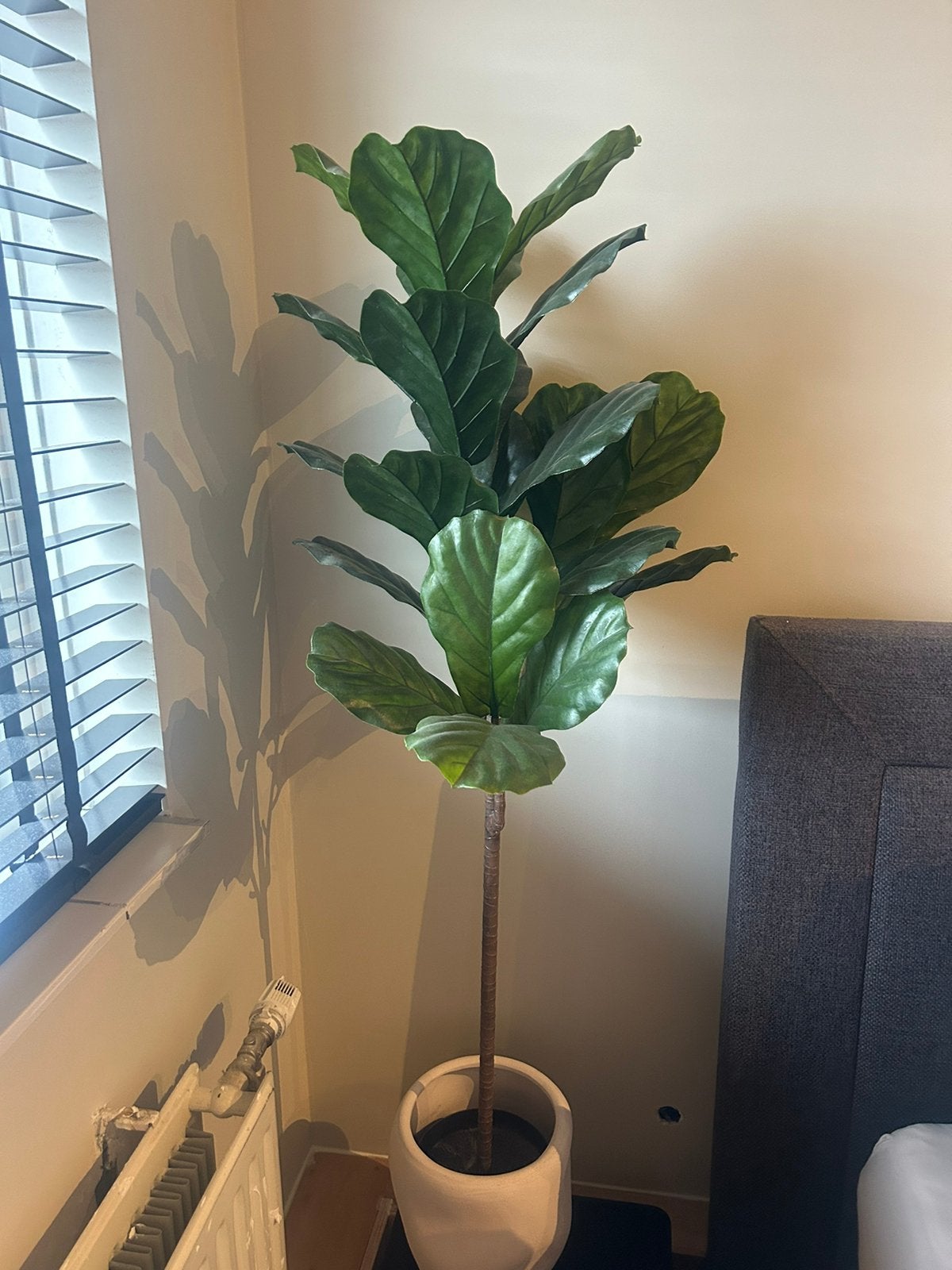 Kunst plant, Huis en Inrichting, Ophalen, Halfschaduw, Minder dan 100 cm