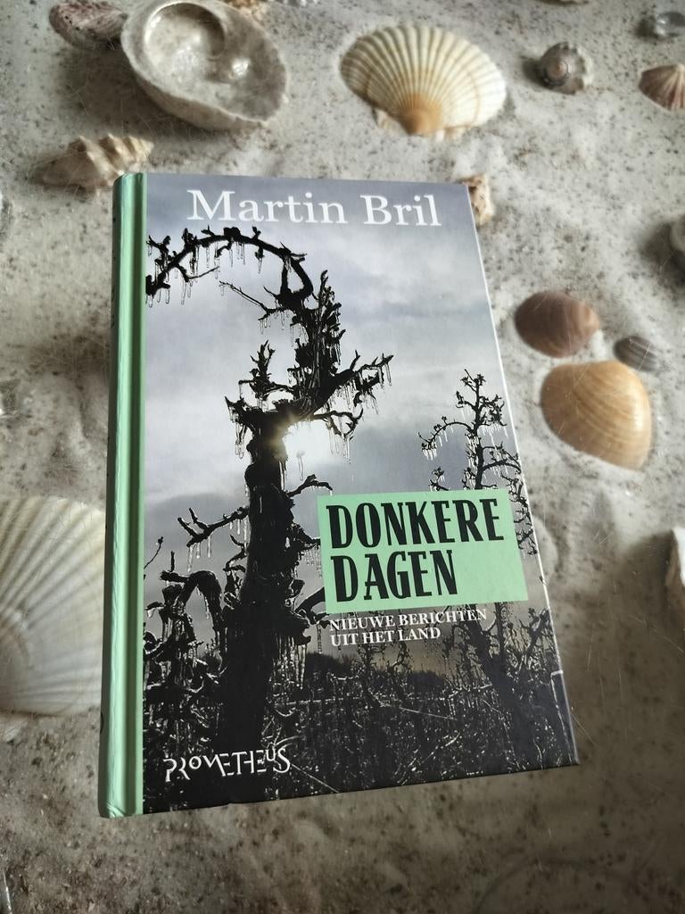 Martin Bril - Donkere dagen, Boeken, Literatuur, Zo goed als nieuw, Ophalen of Verzenden