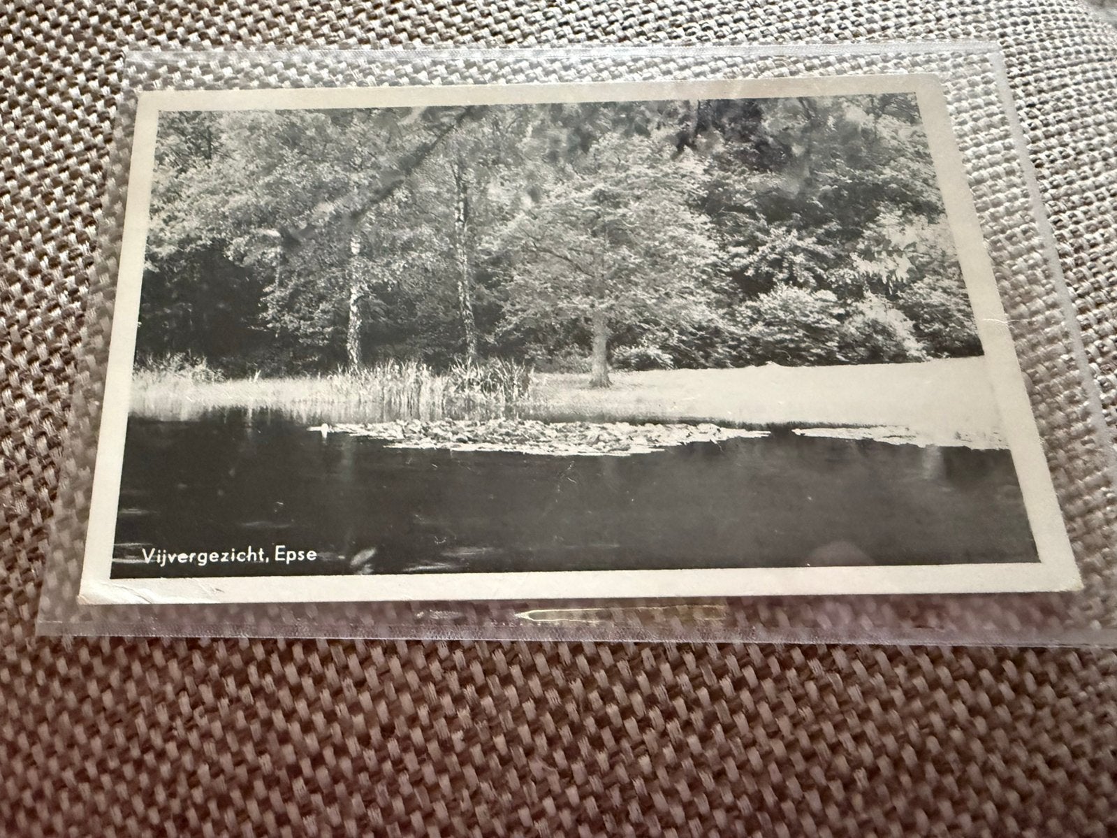 Ansichtkaart Epse Vijvergezicht, Ophalen of Verzenden, 1960 tot 1980, Overijssel