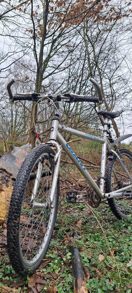 Grijze Giant Mountainbike – 19,5 inch – 21 versnellingen, Ophalen, Gebruikt, 26 inch, 49 tot 53 cm