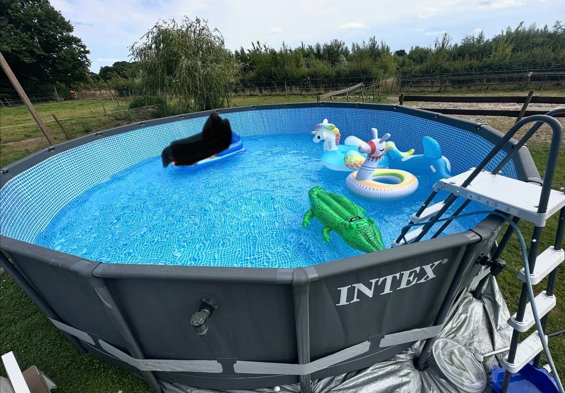 Intex ultra zwembad met zoutsysteem, Gebruikt, Rond, 300 cm of meer, Ophalen