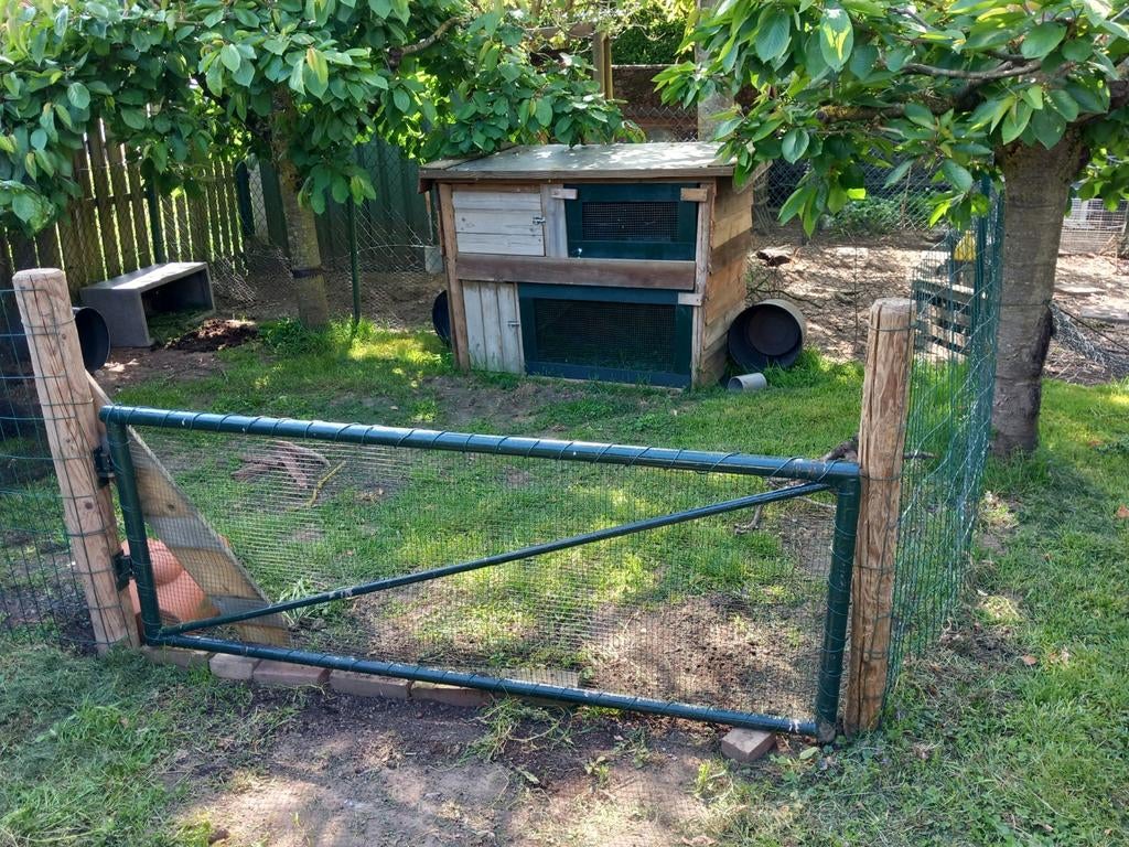 Vakantieopvang knaagdieren, Dieren en Toebehoren, Ophalen, Nieuw, Verzorging