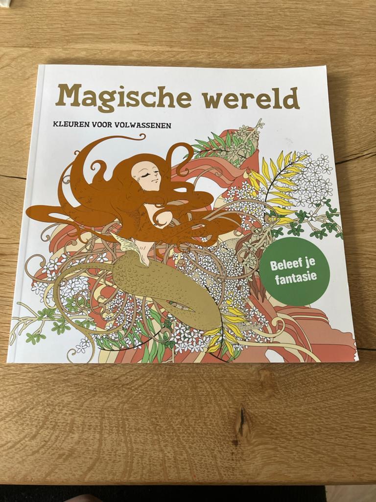 Magische wereld - Kleuren voor volwassenen, Ophalen of Verzenden, Nieuw, Tekenen en Schilderen
