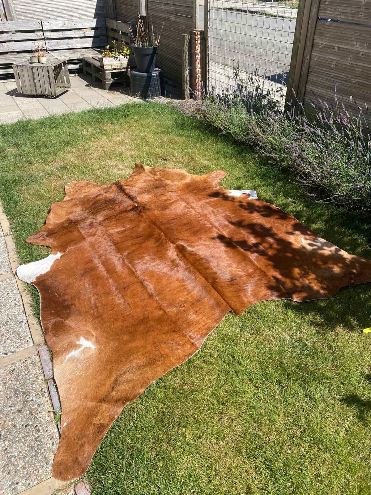 Koeien huid kleed koe rood bont, C, 200 cm of meer, Ophalen of Verzenden, Zo goed als nieuw