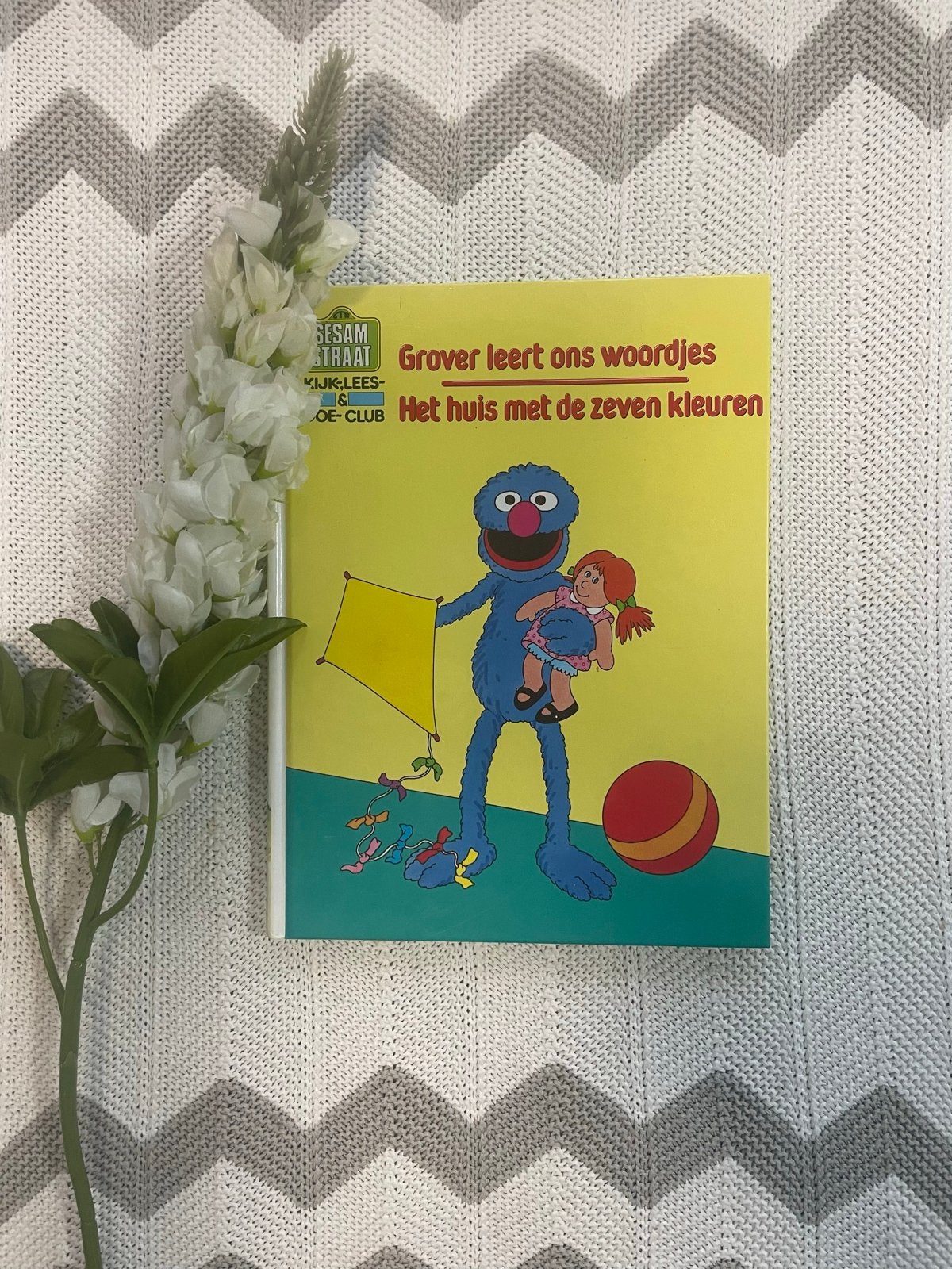 Leuk kleuterboek: Grover leert ons woordjes van Sesamstraat, Gelezen, Fictie algemeen, Jongen of Meisje, Ophalen of Verzenden