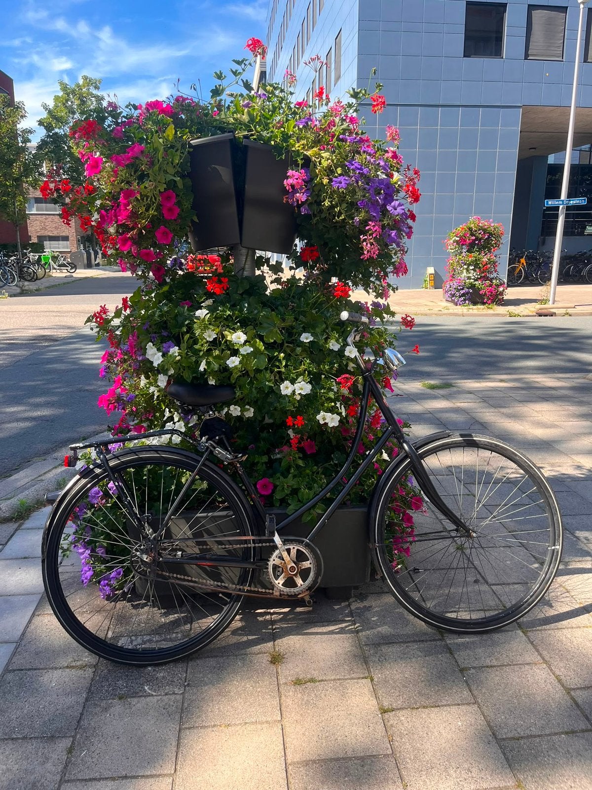 Dames fiets, Ophalen, Zo goed als nieuw