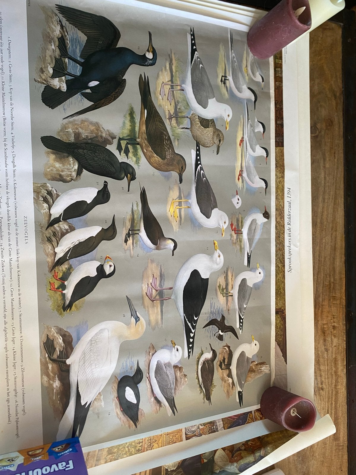 Vintage Schoolplaten: Geschiedenis, Biologie, Aardrijkskunde, Antiek en Kunst, Antiek | Schoolplaten, Ophalen of Verzenden, Overige thema's