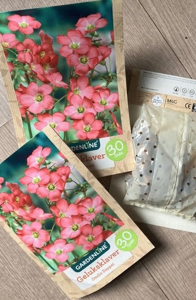 3x30 bollen geluksklaver oxalis deppei	 € 5,00, Ophalen of Verzenden, Volle zon