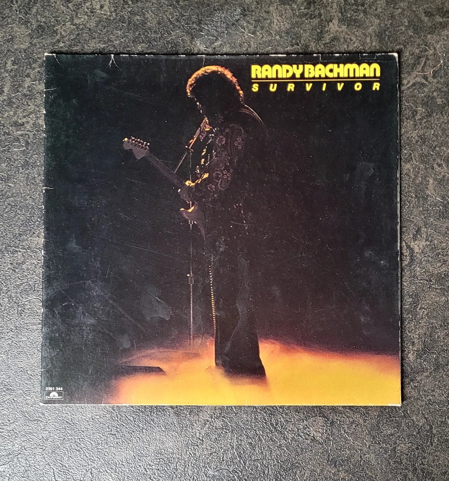 Randy Bachman, Ophalen of Verzenden, Gebruikt