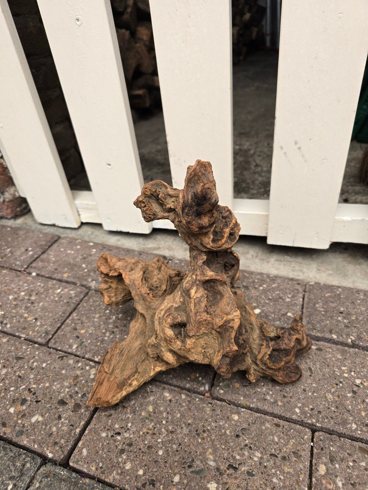 mooi  kien hout, Ophalen of Verzenden, Nieuw, Tak, Plant, Rots of Steen