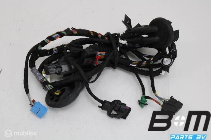 Portierkabelboom rechts Audi TT 8S Coupe 8S0971030B, Gebruikt