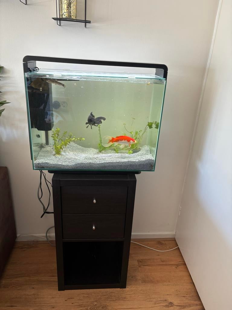 Aquarium met verlichting en steentjes, Ophalen of Verzenden, Zo goed als nieuw, Leeg aquarium