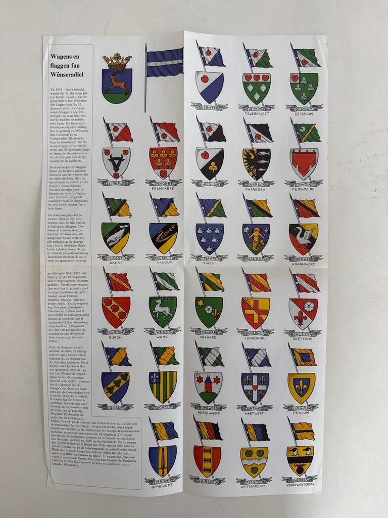 Wapens en vlaggen van Wûnseradiel - Historische Kaart, Ophalen of Verzenden, Zo goed als nieuw