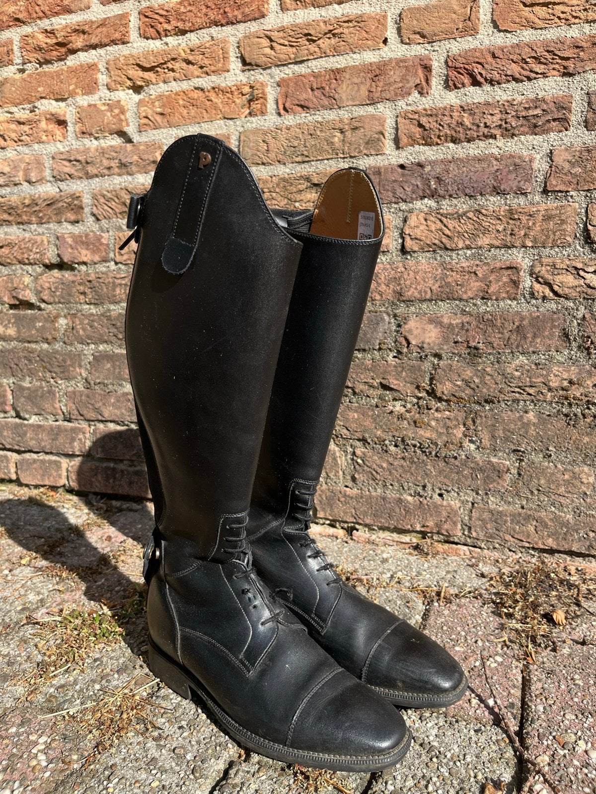 Petrie rijlaarzen, Ophalen of Verzenden, Zo goed als nieuw, Dressuur
