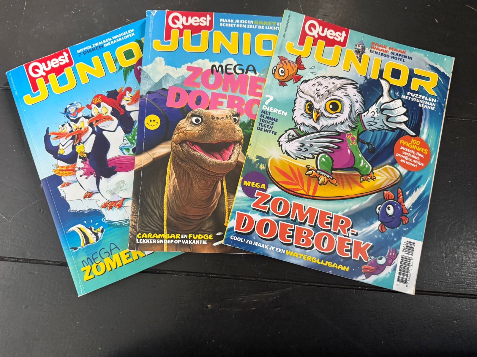 Zomerboeken quest junior, Boeken, Tijdschriften en Kranten, Ophalen of Verzenden, Zo goed als nieuw, Wetenschap en Natuur