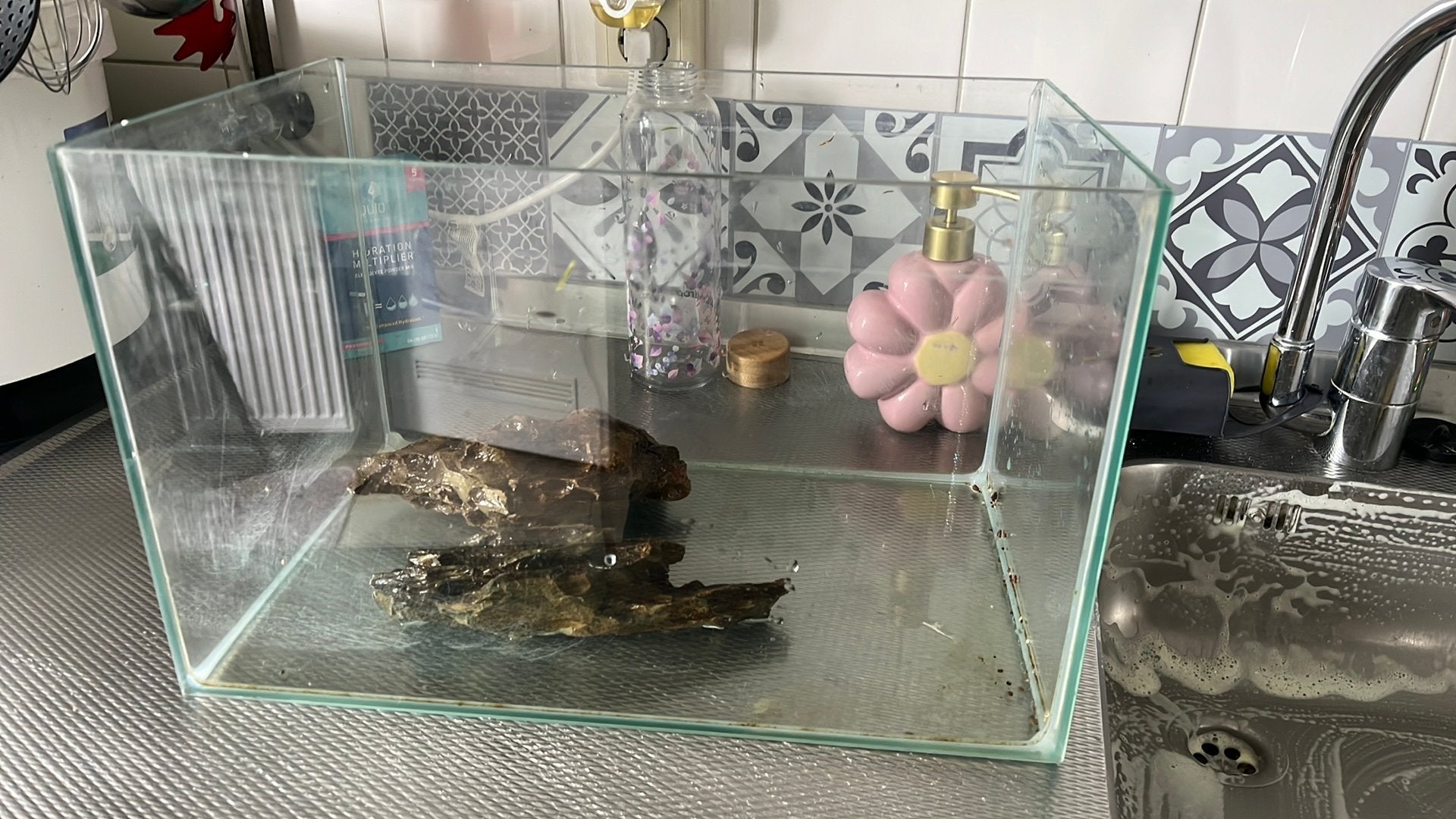 Glazen bak lekvrij, Ophalen of Verzenden, Gebruikt, Leeg aquarium