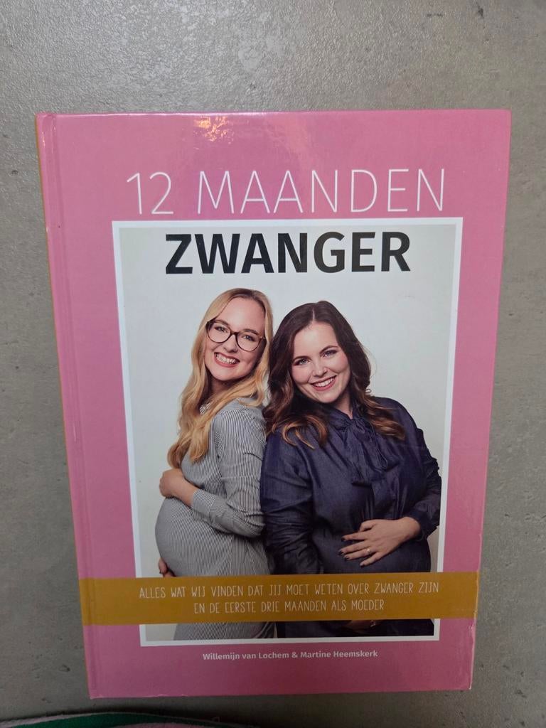 Willemijn van Lochem - 12 Maanden Zwanger, Boeken, Zwangerschap en Opvoeding, Willemijn van Lochem; Martine Heemskerk, Zwangerschap en Bevalling