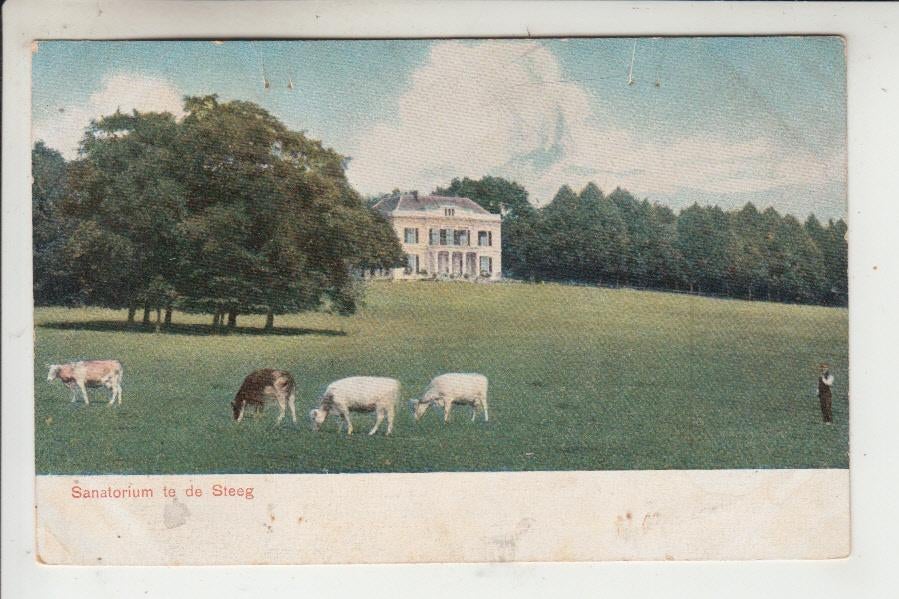 De Steeg, Sanatorium, Ophalen of Verzenden, Voor 1920, Ongelopen, Gelderland