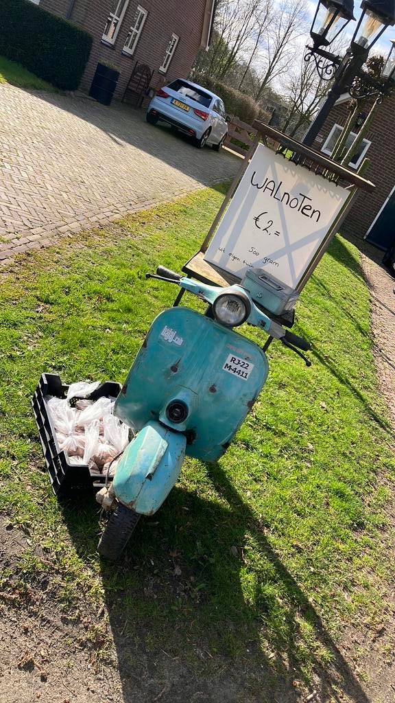 Te koop walnoten uit eigen tuin, Ophalen of Verzenden, Overige soorten, Volle zon