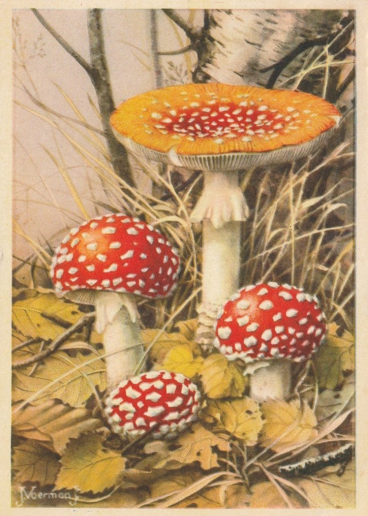 VOOR HET KIND TEKN J VOERMAN UIT 1951 MOOIE KAART KO76, Verzamelen, Ansichtkaarten | Themakaarten, Ophalen of Verzenden, 1940 tot 1960